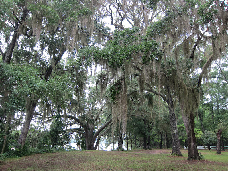 Southern Charm: Hopsewee Plantation and Tea Room - Ferreting Out the Fun