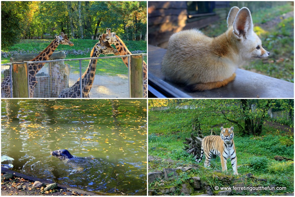 zoo riga