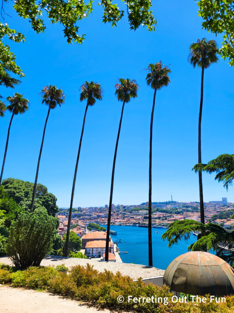 Palm trees and river views in the Crystal Palace Gardens in Porto