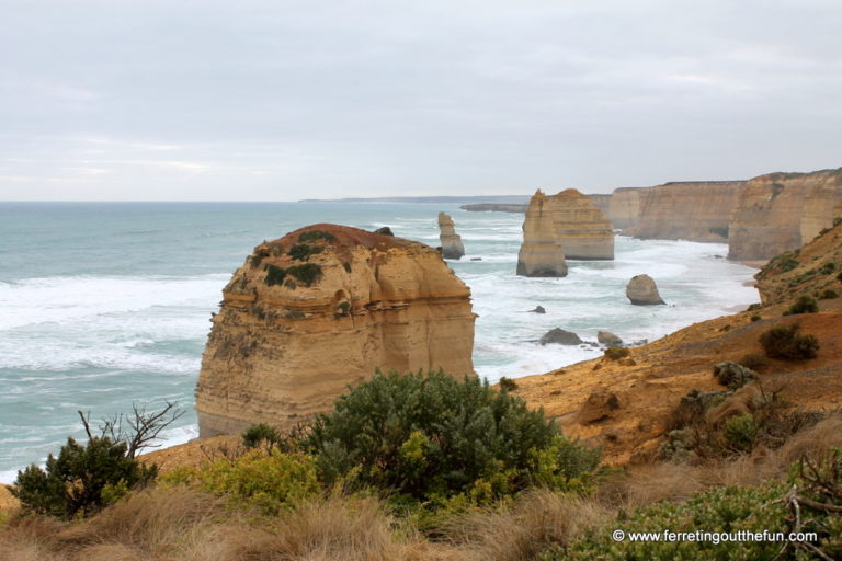 Driving the Great Ocean Road with Go West Tours - Ferreting Out the Fun