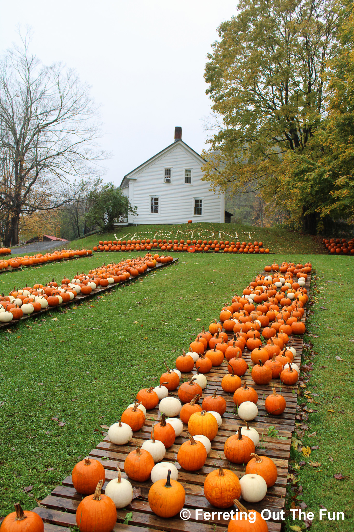 A Perfect Fall Day in Bennington, Vermont - Ferreting Out the Fun