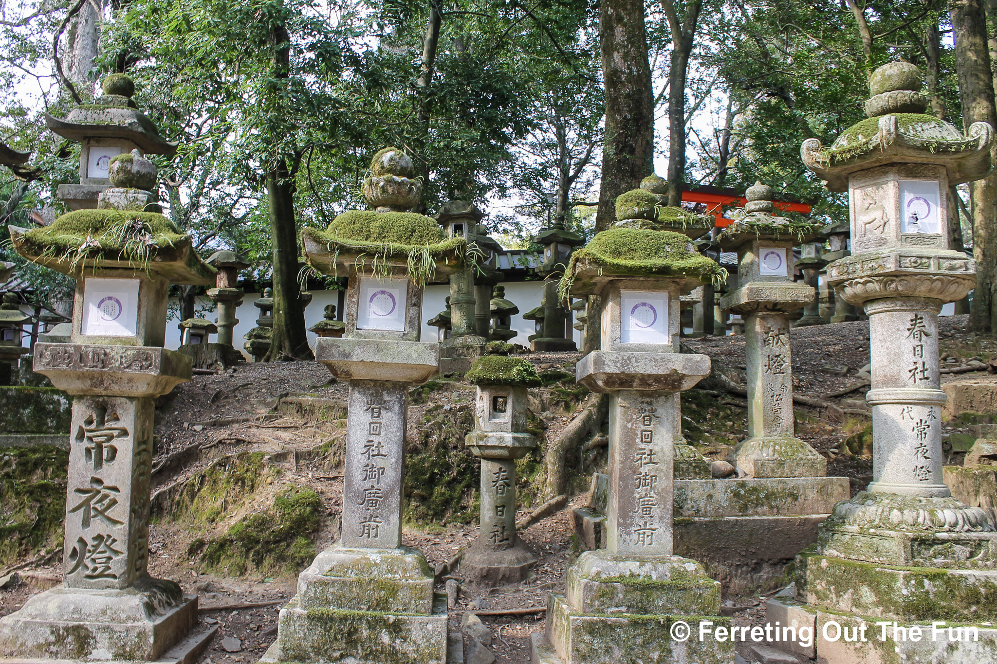 Nara Day Trip: One Day in Japan’s Deer City - Ferreting Out the Fun