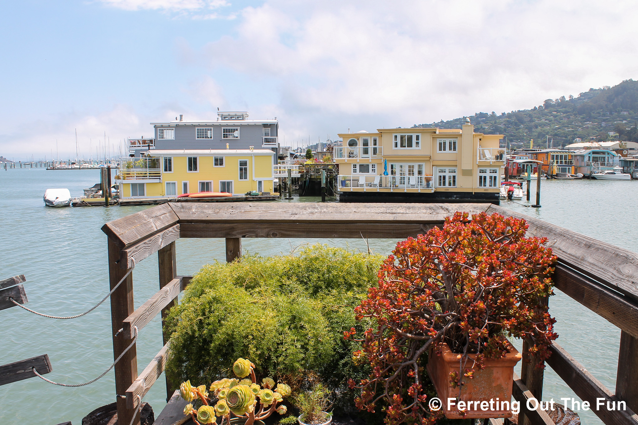 Sausalito California Homes