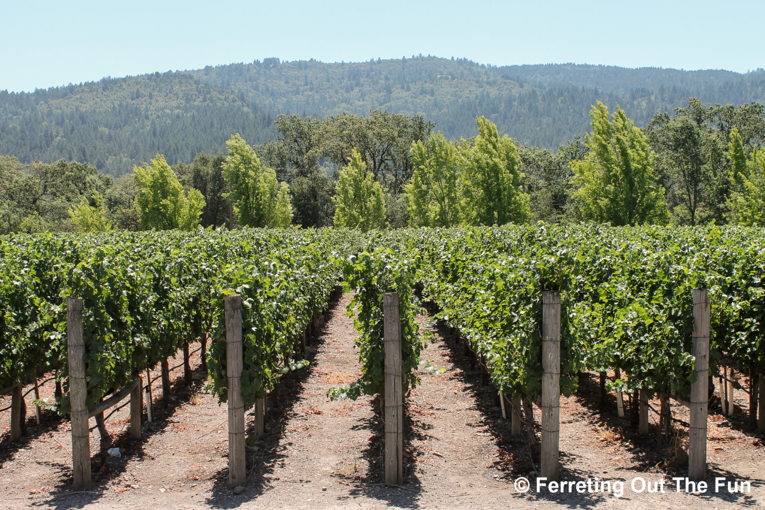 A Carefree Ride on the Napa Valley Wine Trolley - Ferreting Out the Fun