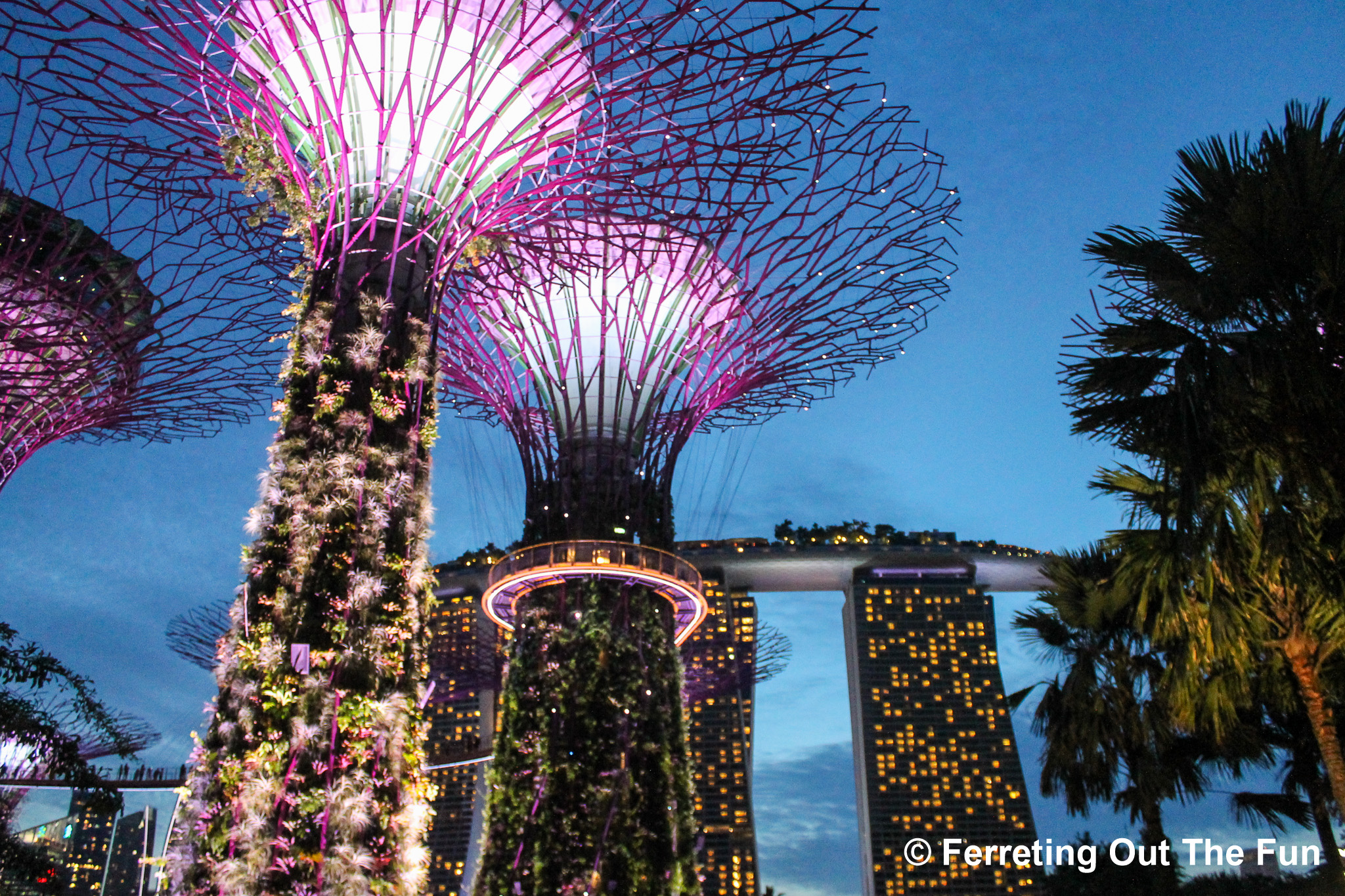 Fun Things to Do, See, and Eat in Singapore - Ferreting Out the Fun