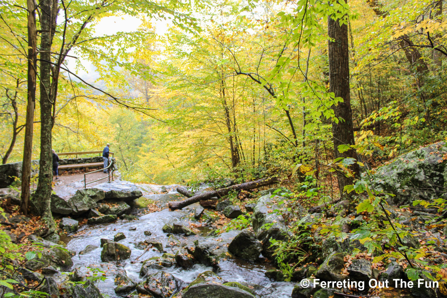 Things to Do in the Blue Ridge Mountains of Virginia - Ferreting Out ...