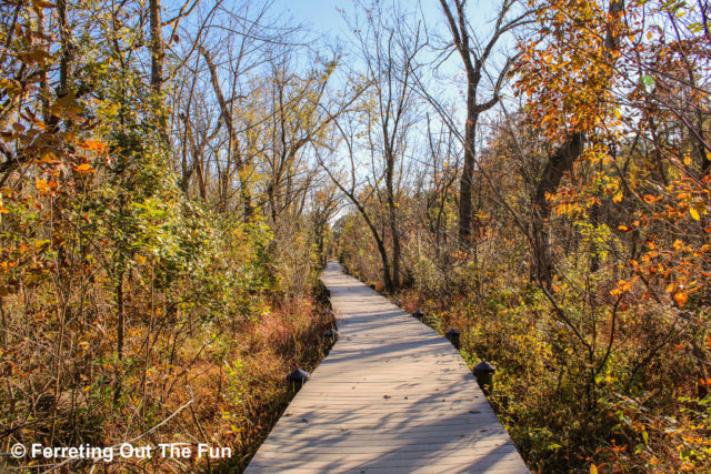 Beautiful Washington DC Area Parks and Gardens - Ferreting Out the Fun