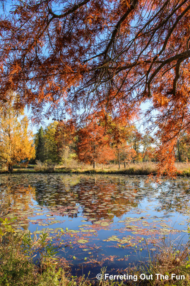 Beautiful Washington DC Area Parks and Gardens - Ferreting Out the Fun