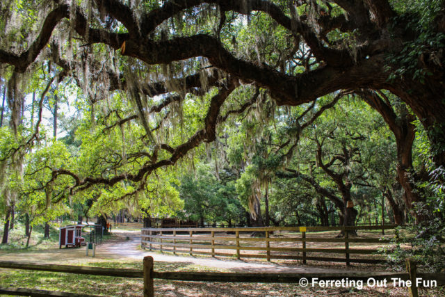 Atalaya Castle and Brookgreen Gardens, SC - Ferreting Out the Fun