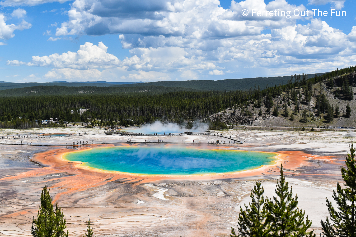 3 Days in Yellowstone – An Amazing Adventure - Ferreting Out the Fun