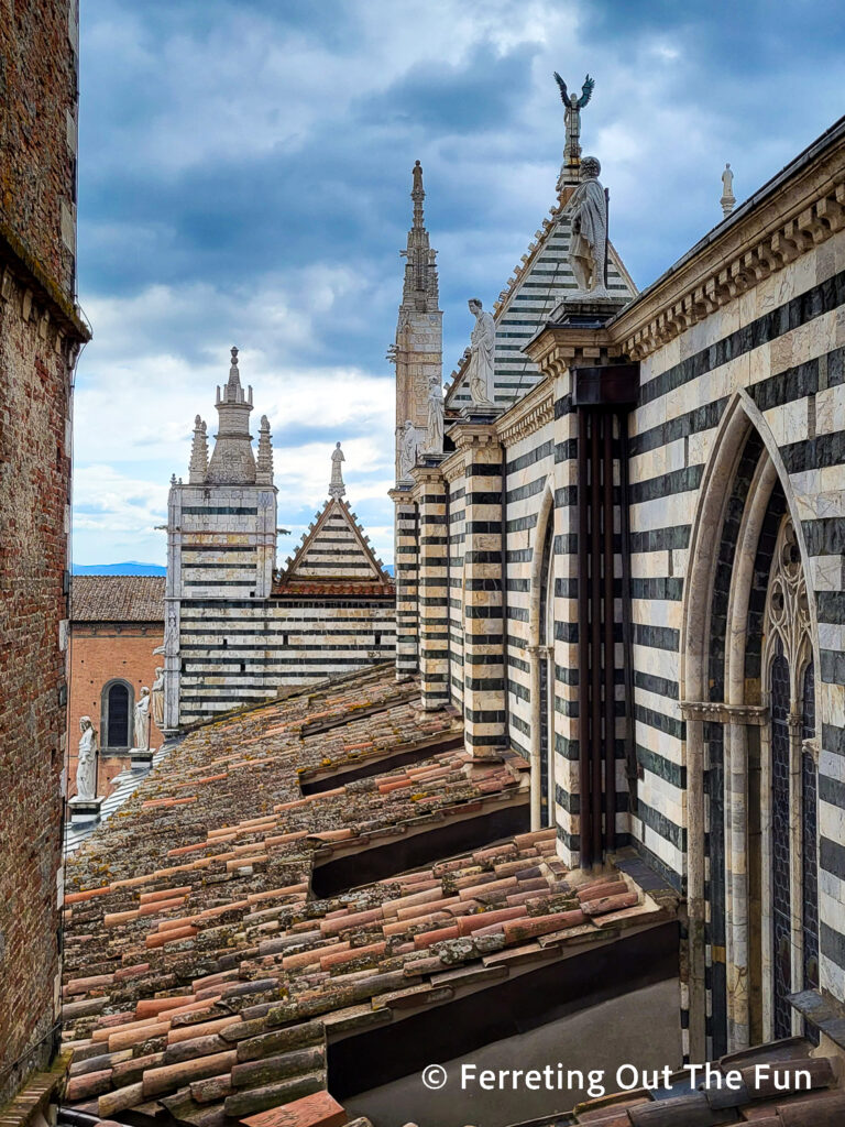 Siena Cathedral Rooftop Tour