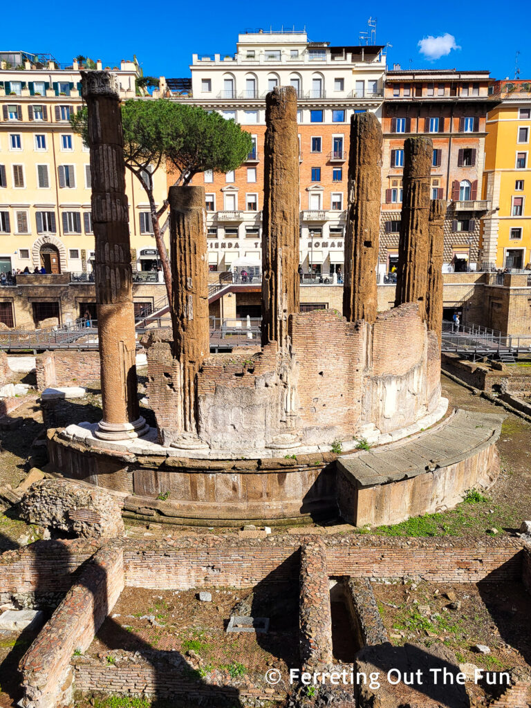 Largo di Torre Argentina, the place where Julius Caesar was killed in Rome. The temple ruins are also home to a colony of cats.