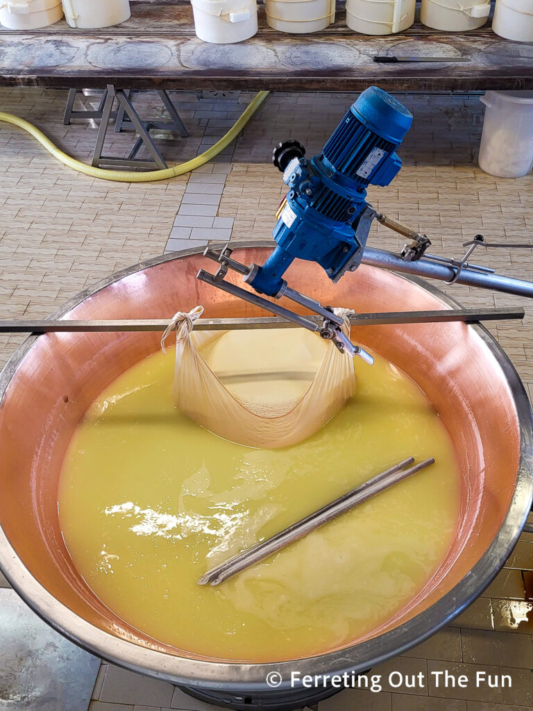 Parmigiano Reggiano cheese being made at San Pier Damiani Dairy in Parma Italy