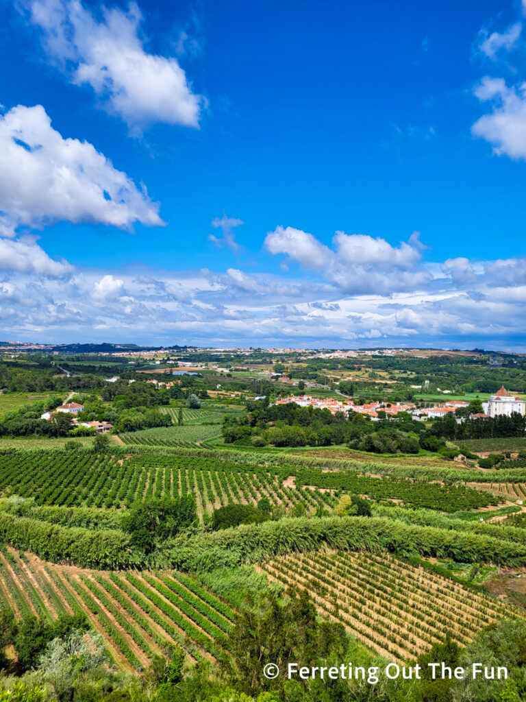 Green fields of Portugal