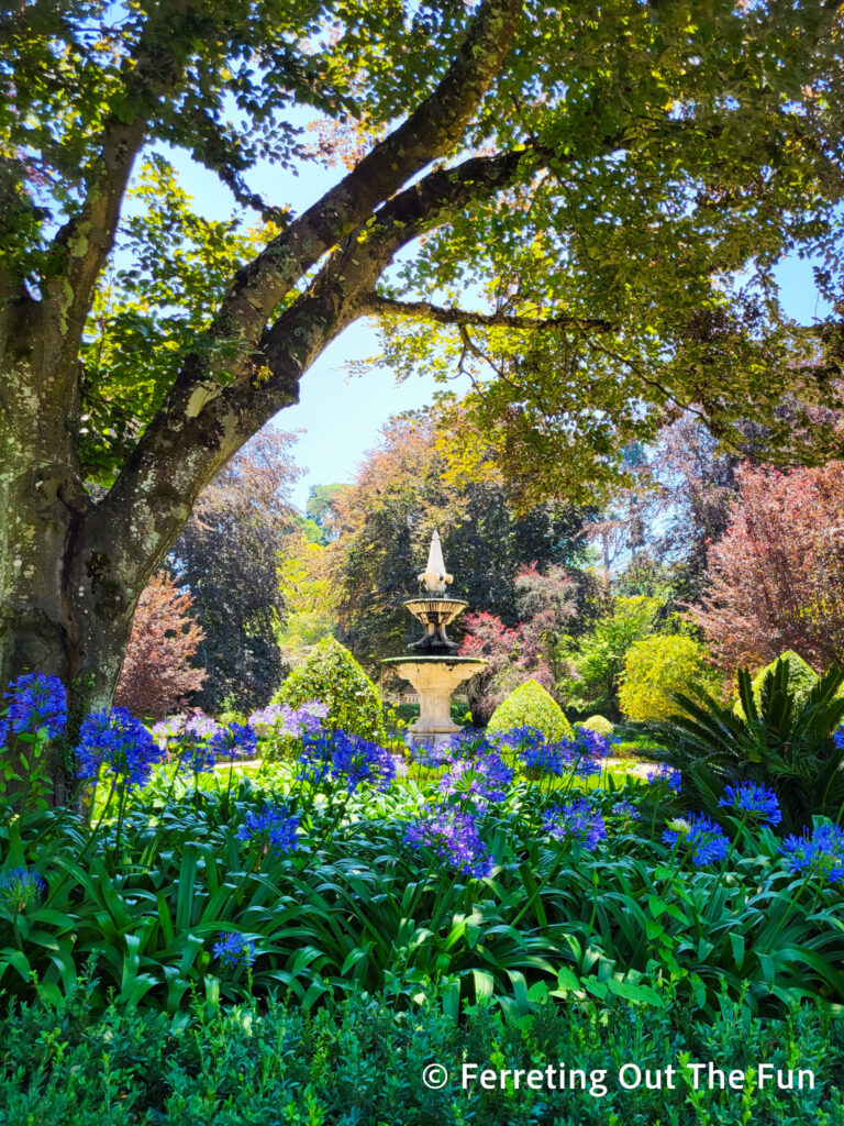 Beautiful summer day in the University of Coimbra Botanical Garden