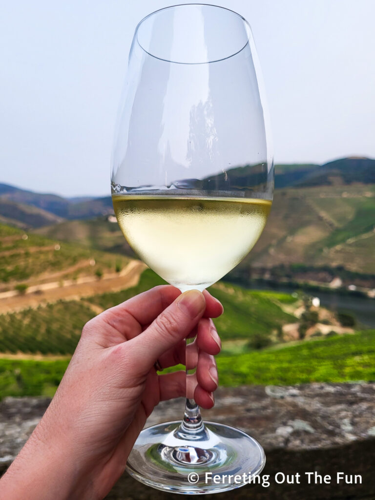 Wine tasting in the Douro Valley Portugal