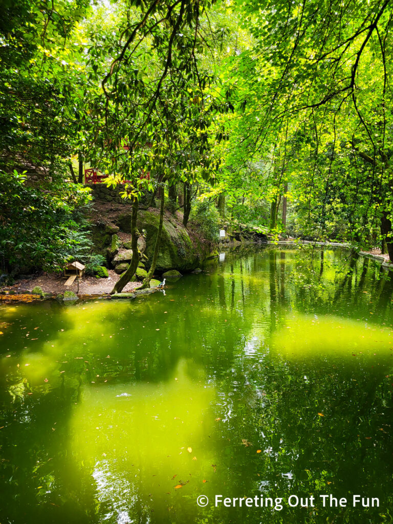 Green reflections in Jardins do Santuário do Bom Jesus in Braga, Portugal
