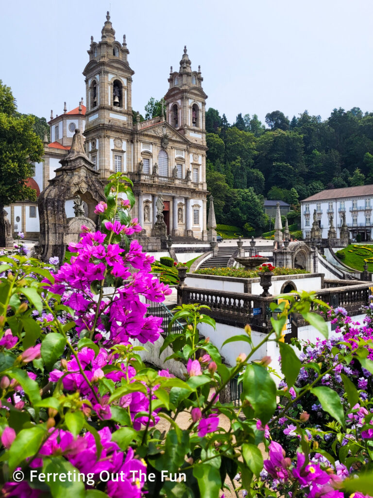 Bougainvillea blooms in front of the Sanctuary of Bom Jesus do Monte in Braga Portugal